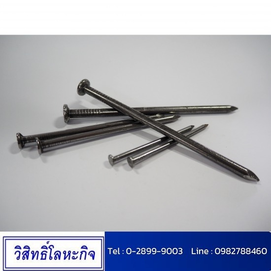 ขายส่ง ตะปู ขายส่ง ตะปู 